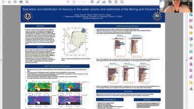 Speciation and Distribution of Mercury in the Water Column and Sediments of the Bering and Chukchi Seas